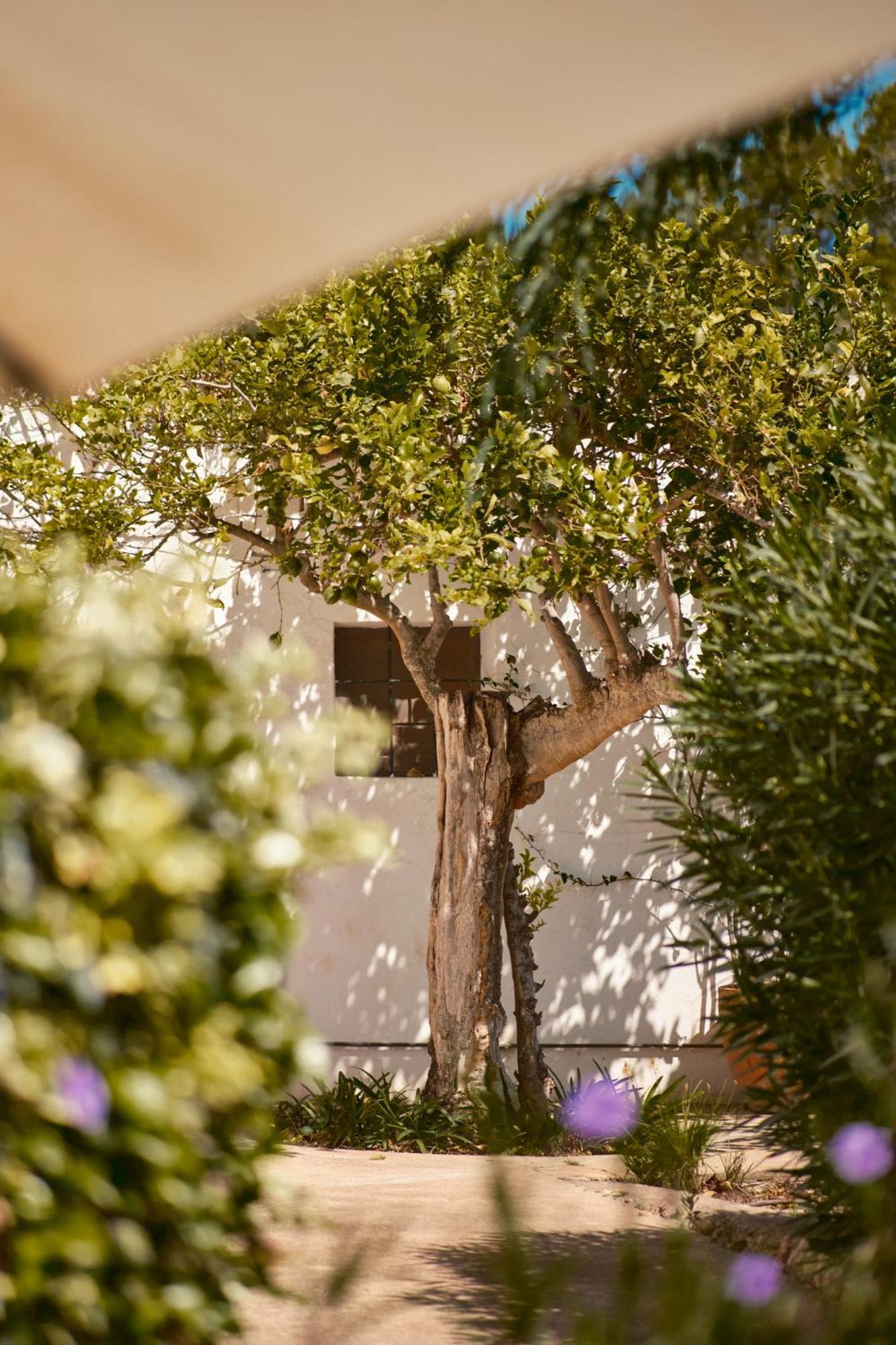 The Guardian House Hotell Santa Gertrudis  Eksteriør bilde
