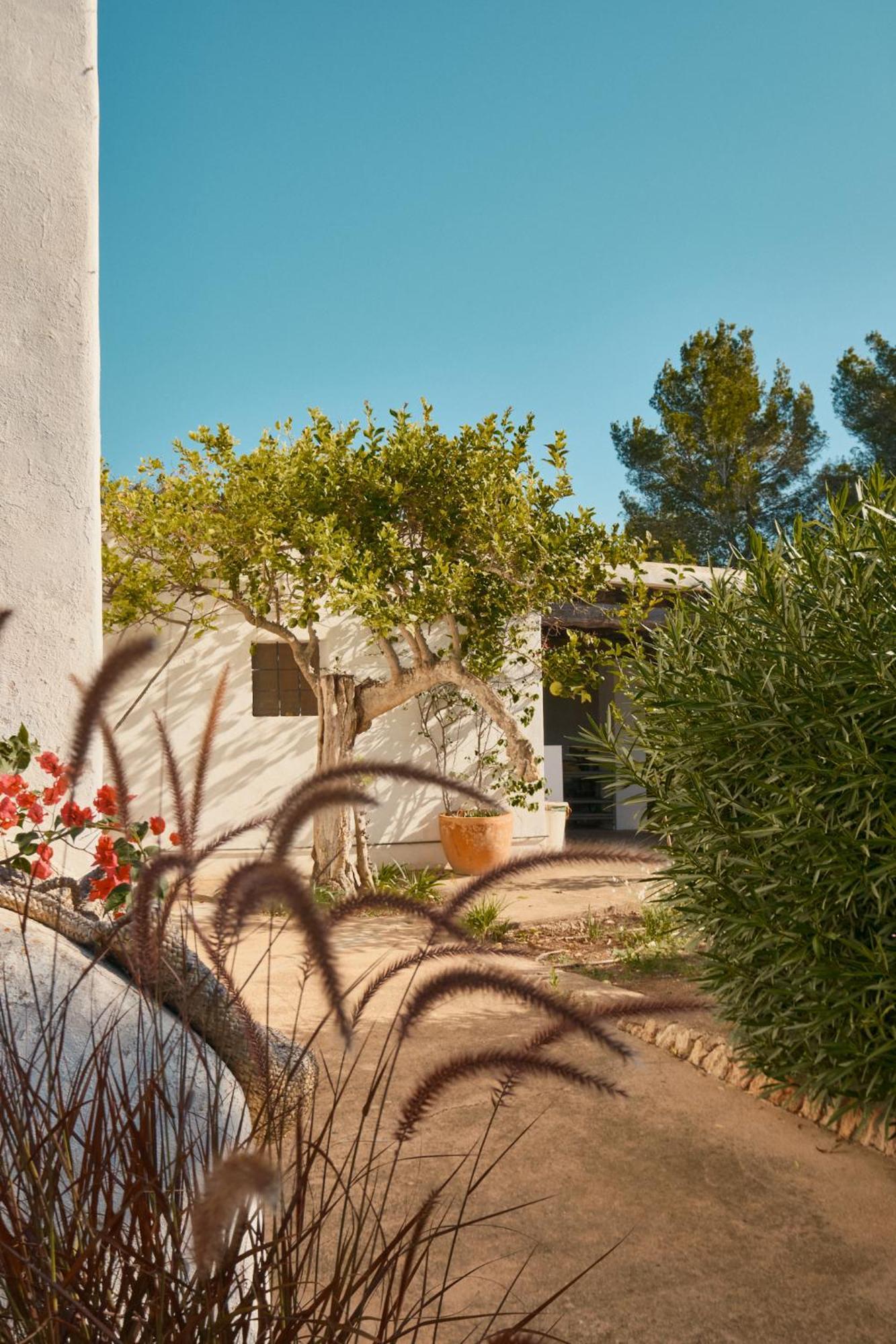 The Guardian House Hotell Santa Gertrudis  Eksteriør bilde